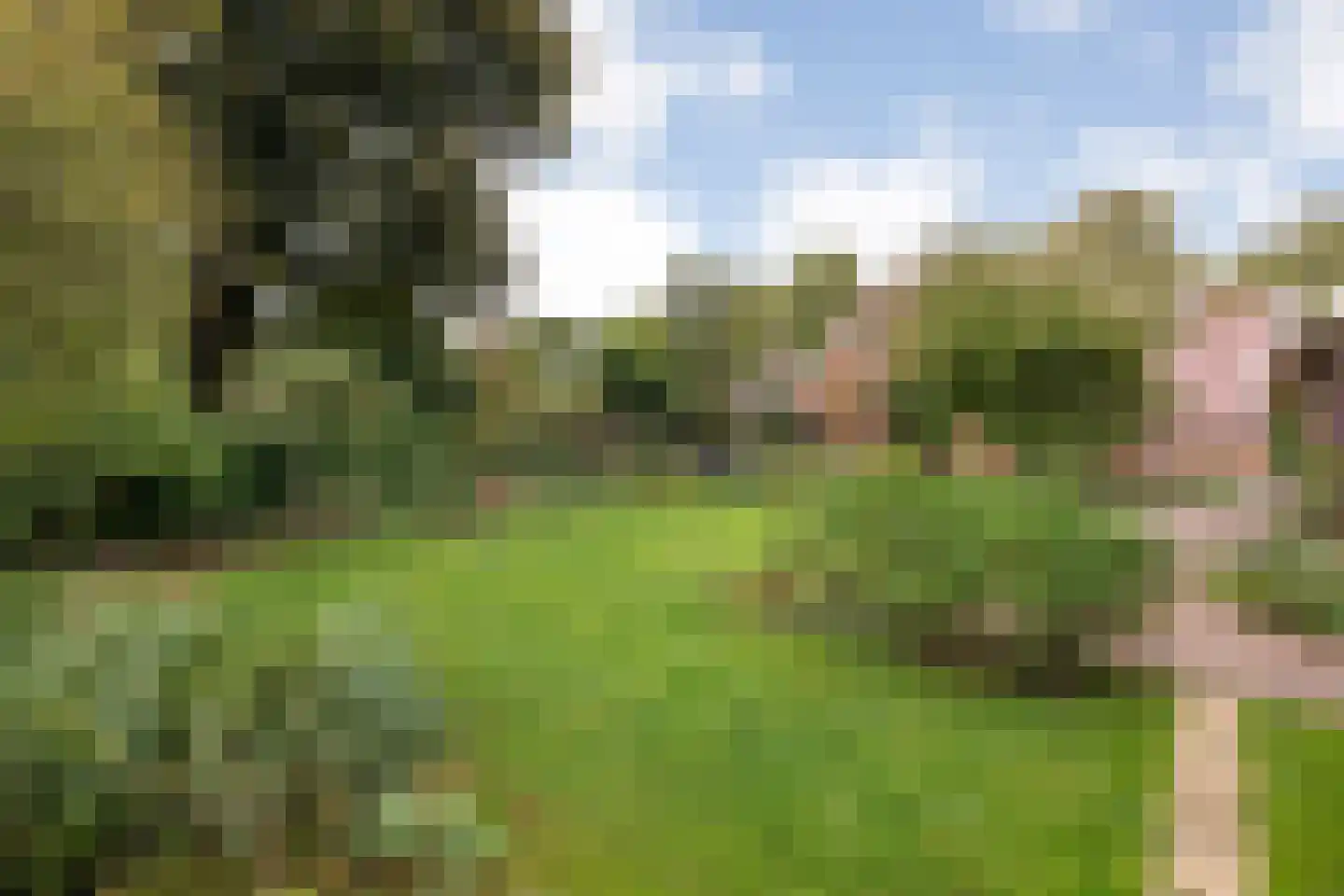 Hoofdstraat 26 Diever thumbnail 70