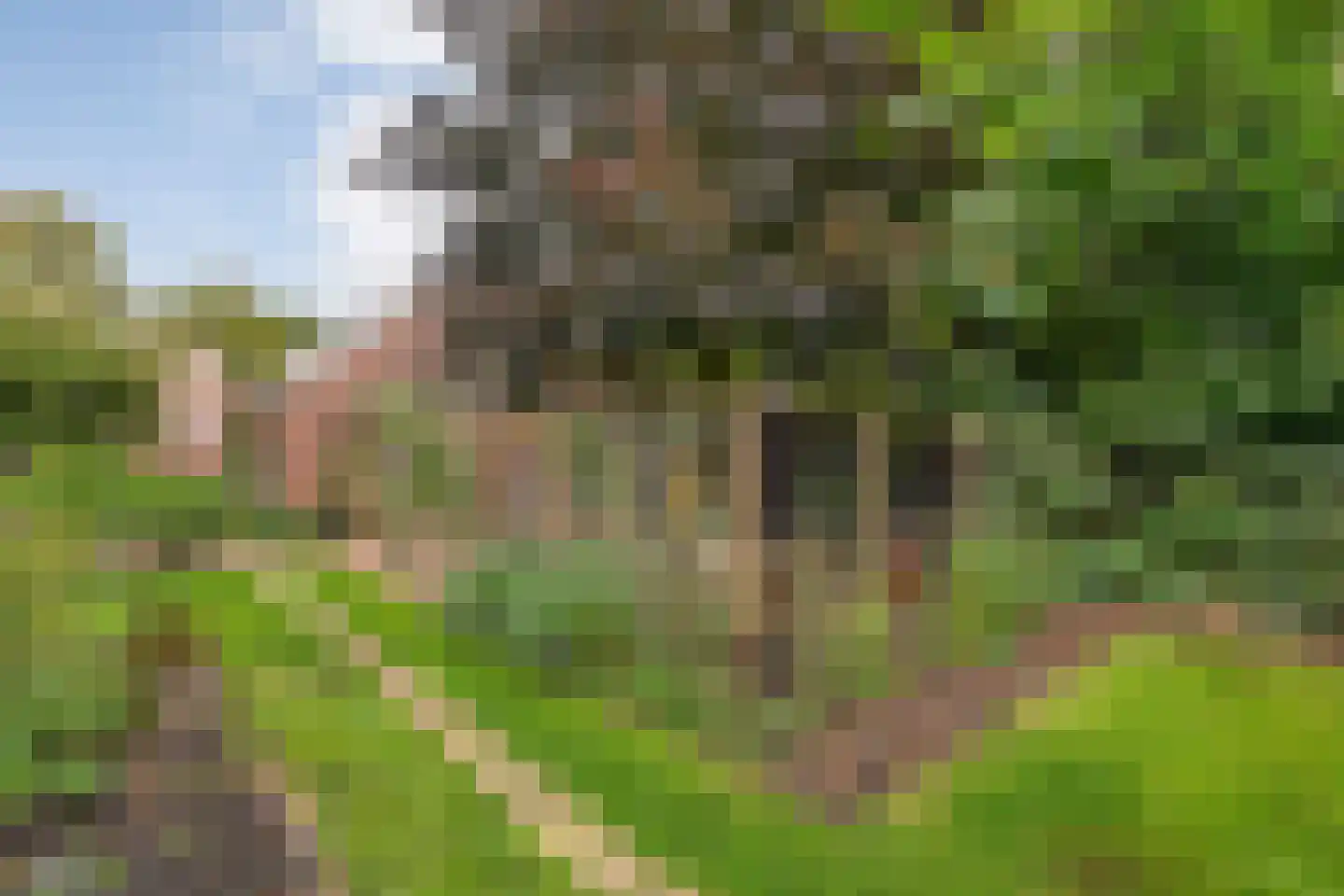 Hoofdstraat 26 Diever thumbnail 71