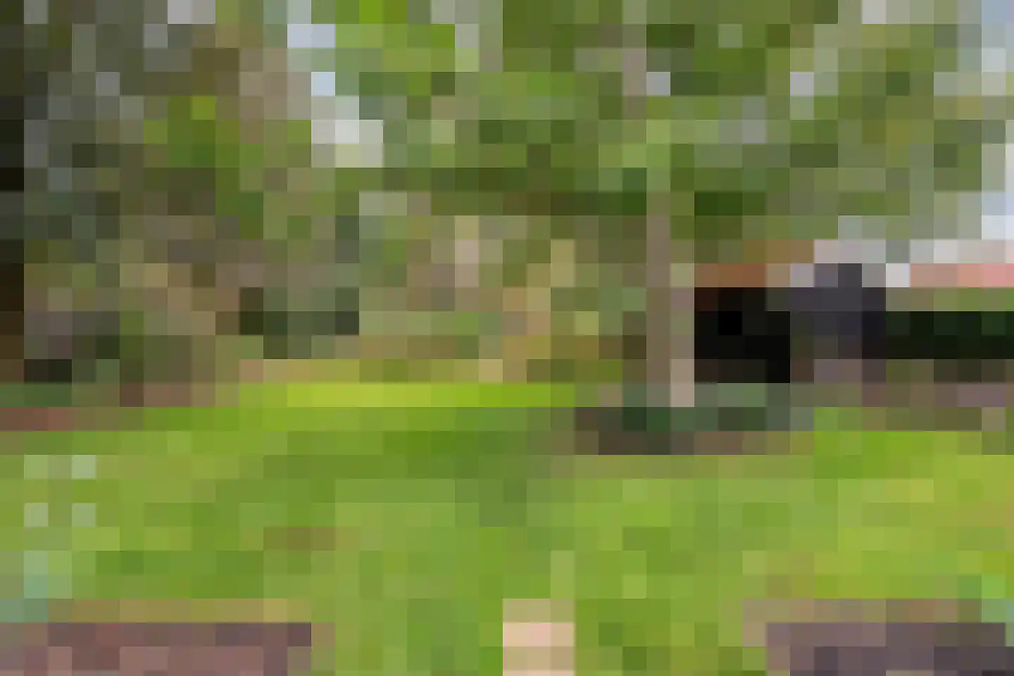 Hoofdstraat 26 Diever thumbnail 72