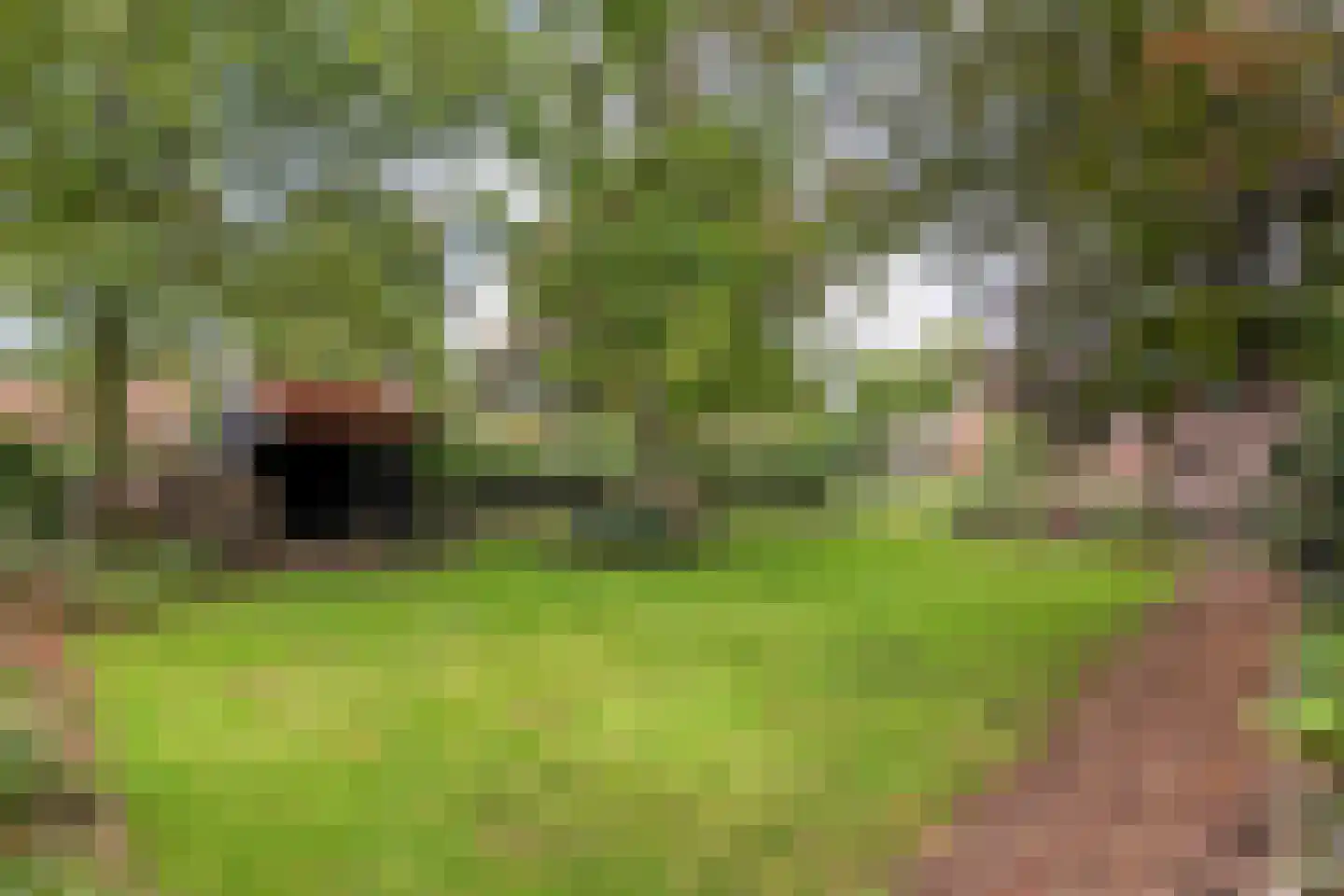 Hoofdstraat 26 Diever thumbnail 73