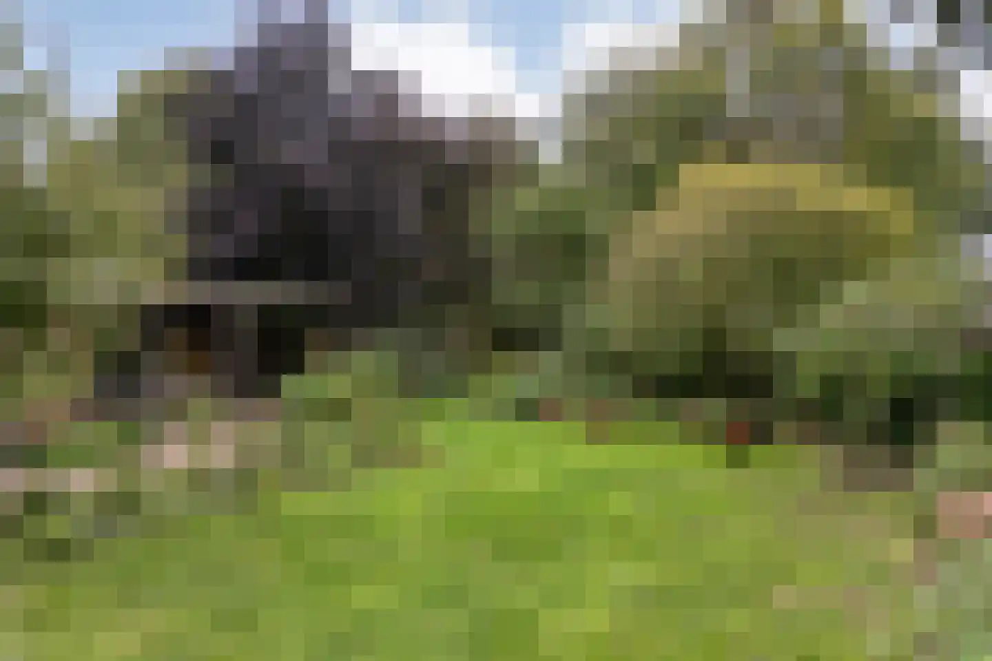 Hoofdstraat 26 Diever thumbnail 75