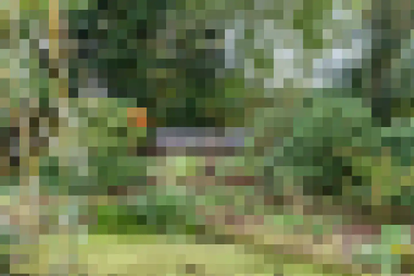 Hoofdstraat 26 Diever thumbnail 76