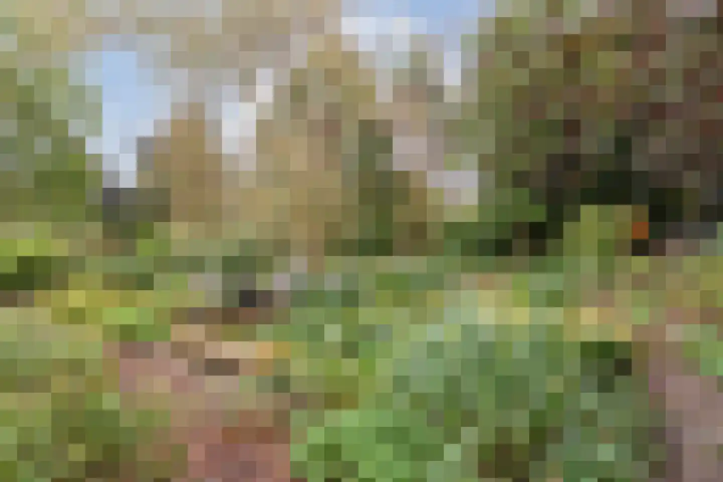 Hoofdstraat 26 Diever thumbnail 77