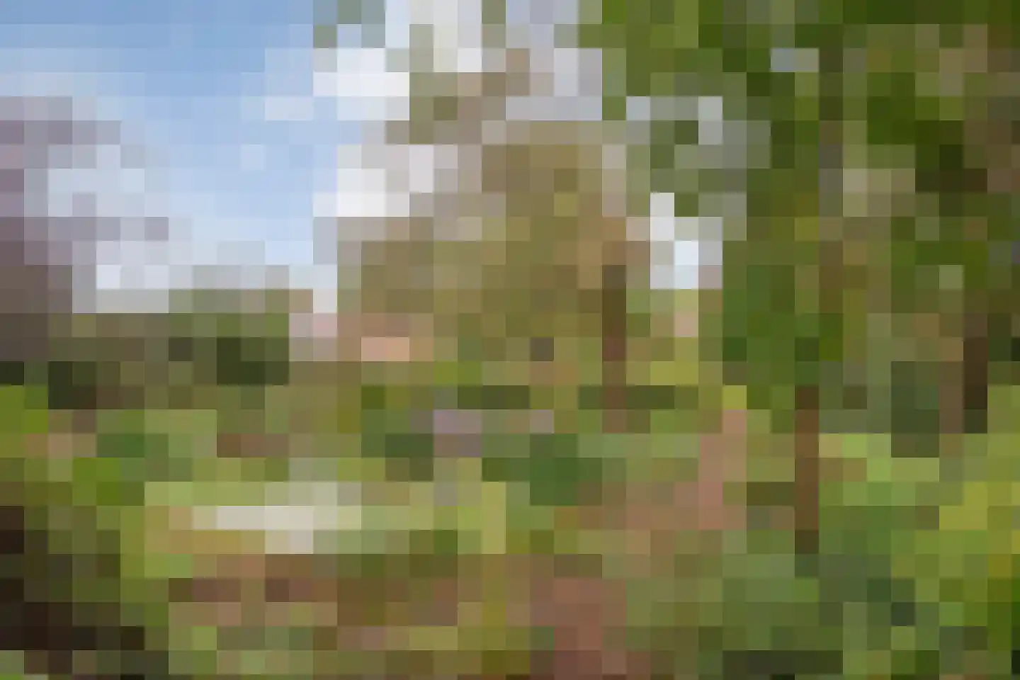 Hoofdstraat 26 Diever thumbnail 78