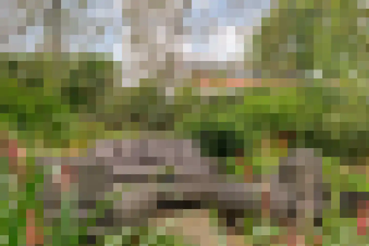 Hoofdstraat 26 Diever thumbnail 79