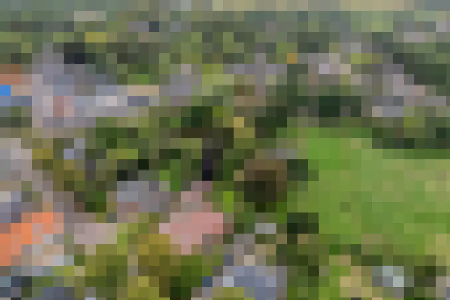 Hoofdstraat 26 Diever thumbnail 8