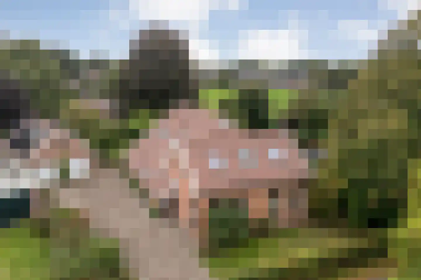 Hoofdstraat 26 Diever thumbnail 9
