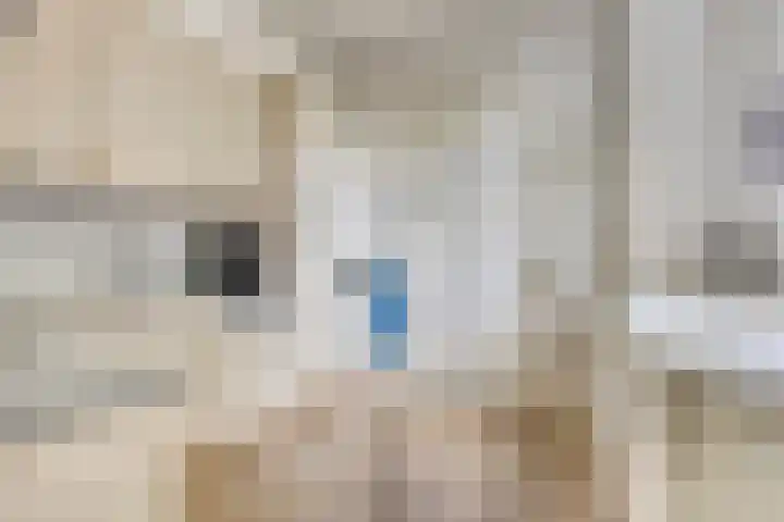 Hoofdstraat 26 Eext thumbnail 13