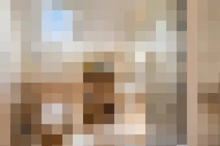 Hoofdstraat 26 Eext thumbnail 23