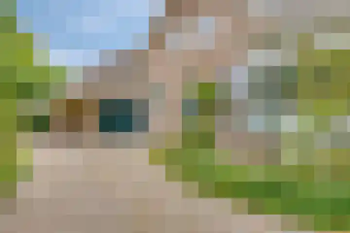 Hoofdstraat 26 Eext thumbnail 25