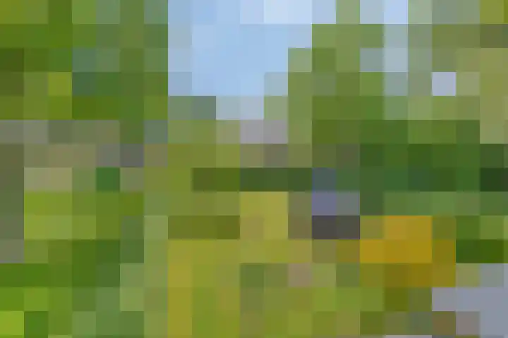 Hoofdstraat 26 Eext thumbnail 35