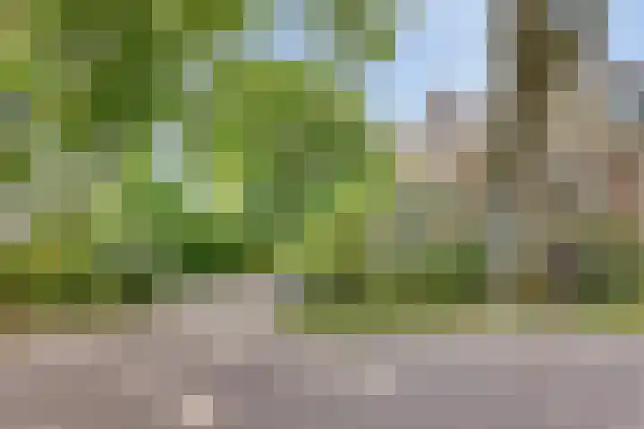 Hoofdstraat 26 Eext thumbnail 37