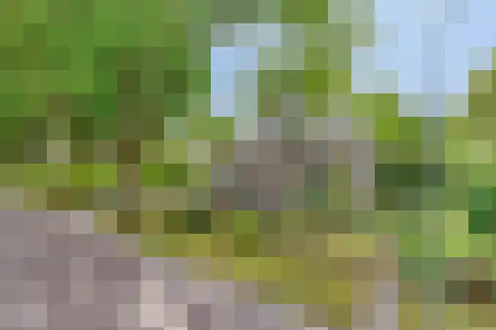 Hoofdstraat 26 Eext thumbnail 39