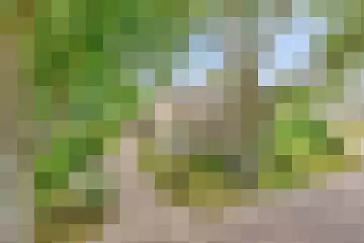 Hoofdstraat 26 Eext thumbnail 41