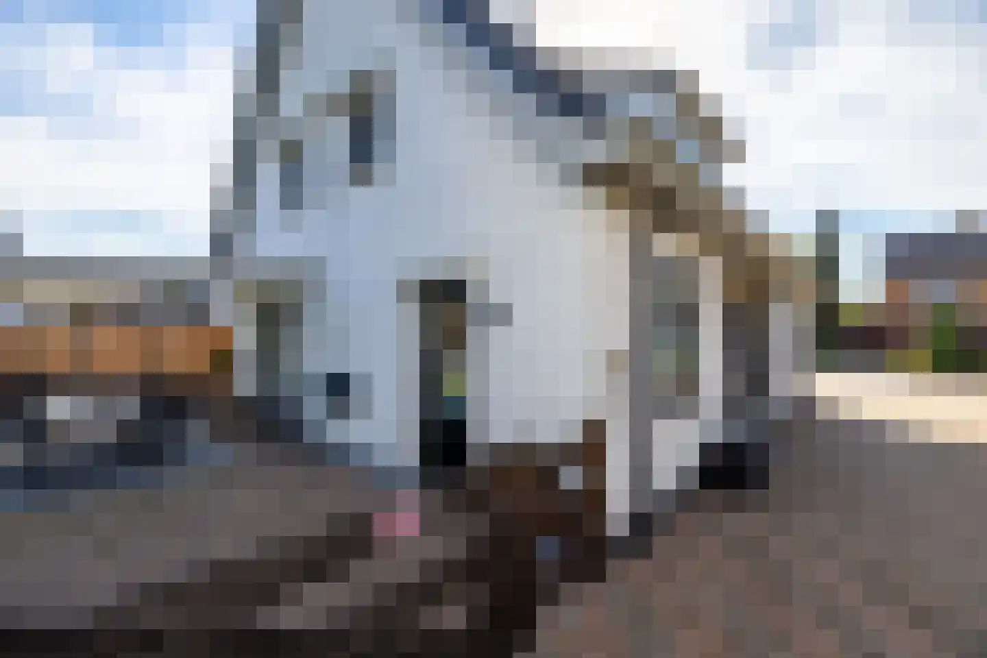 Hoofdstraat 26 Kilder thumbnail 25