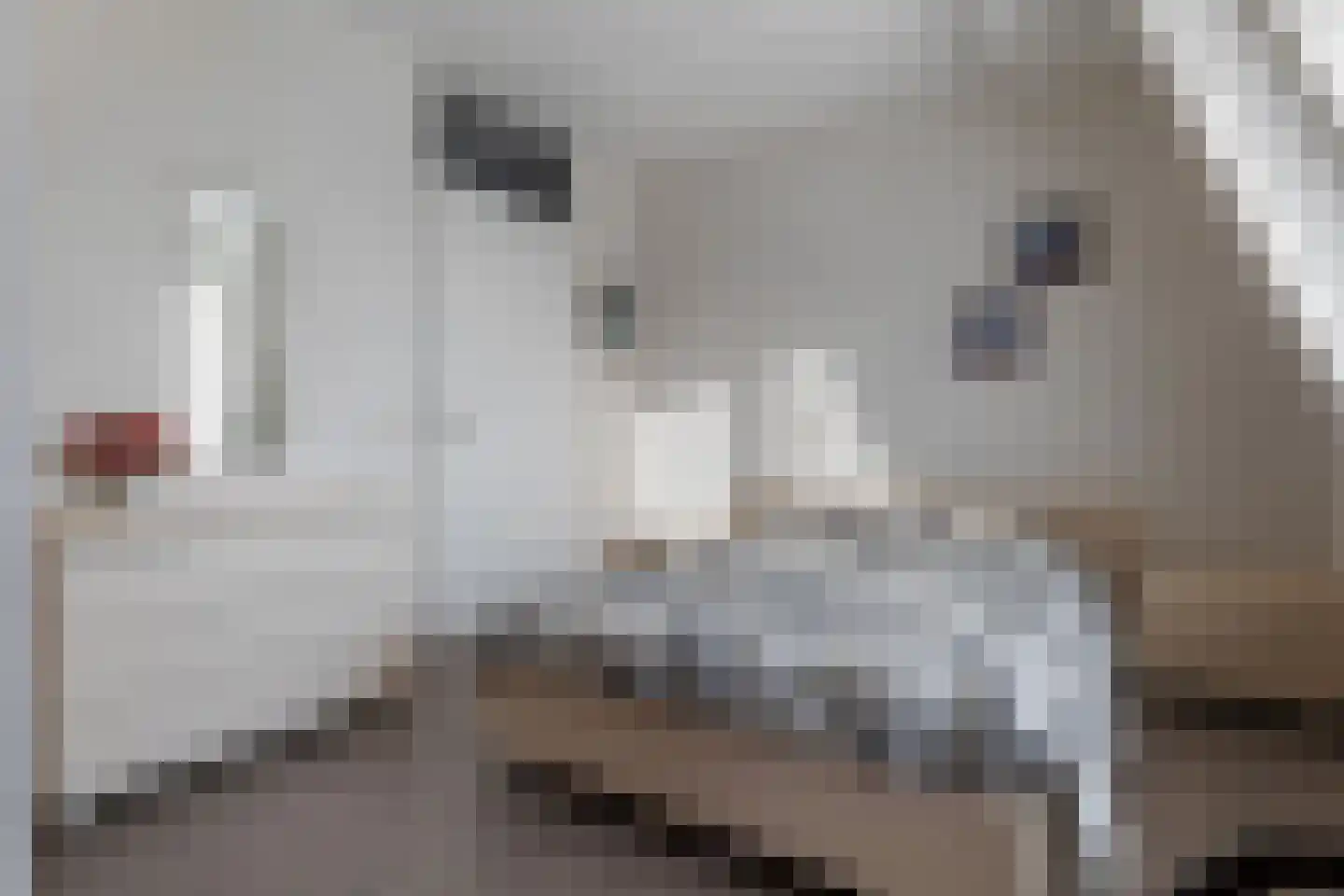 Hoofdstraat 260 g Hoogezand thumbnail 20