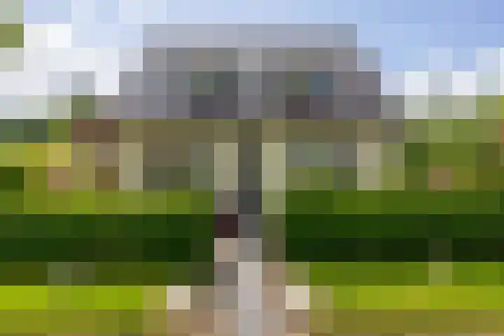 Hoofdstraat 264 Oostwold thumbnail 8