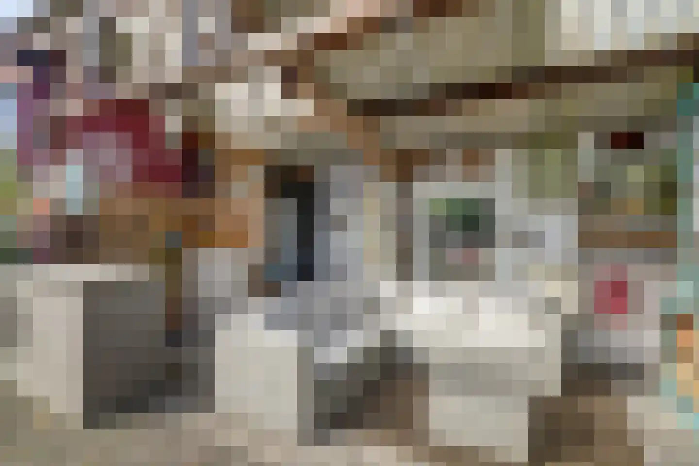 Hoofdstraat 265 Bovenkarspel thumbnail 22