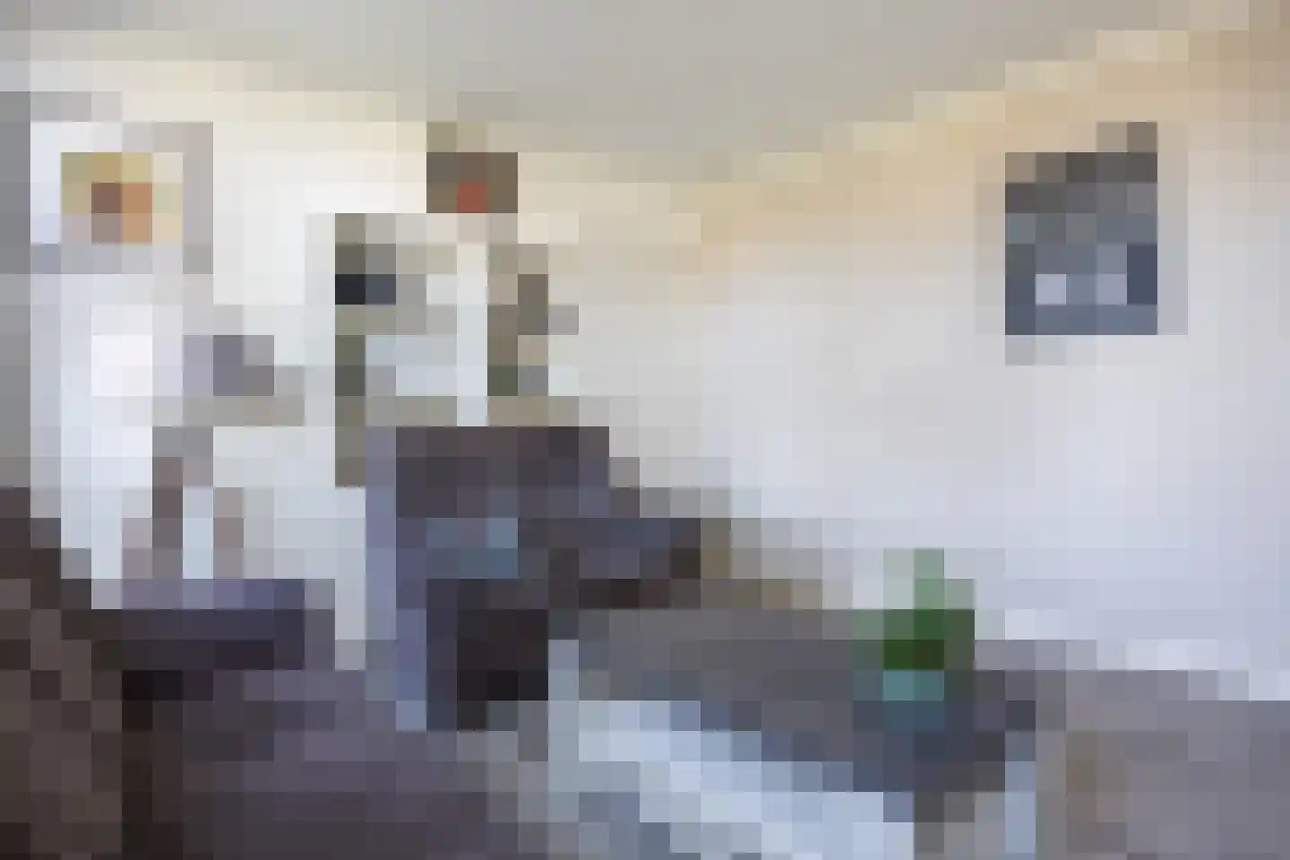 Hoofdstraat 266 Oostwold thumbnail 24