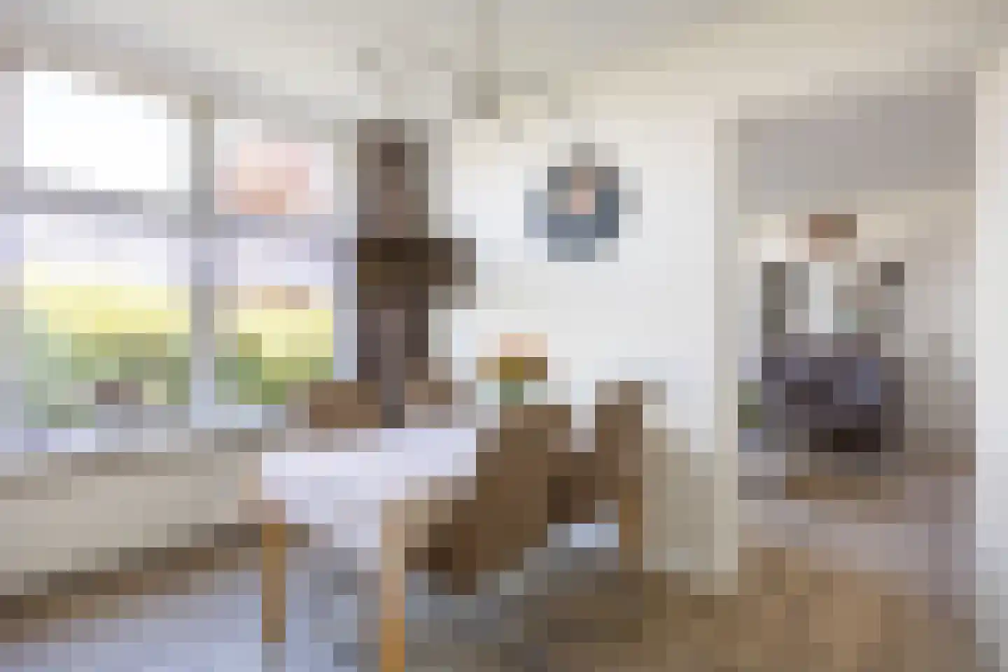 Hoofdstraat 266 Oostwold thumbnail 31