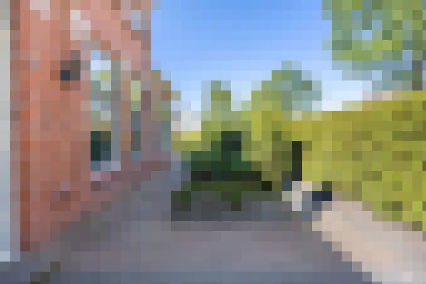 Hoofdstraat 266 Oostwold thumbnail 66
