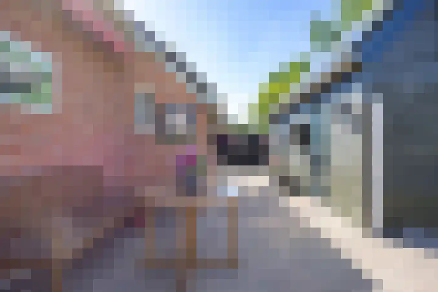 Hoofdstraat 266 Oostwold thumbnail 74