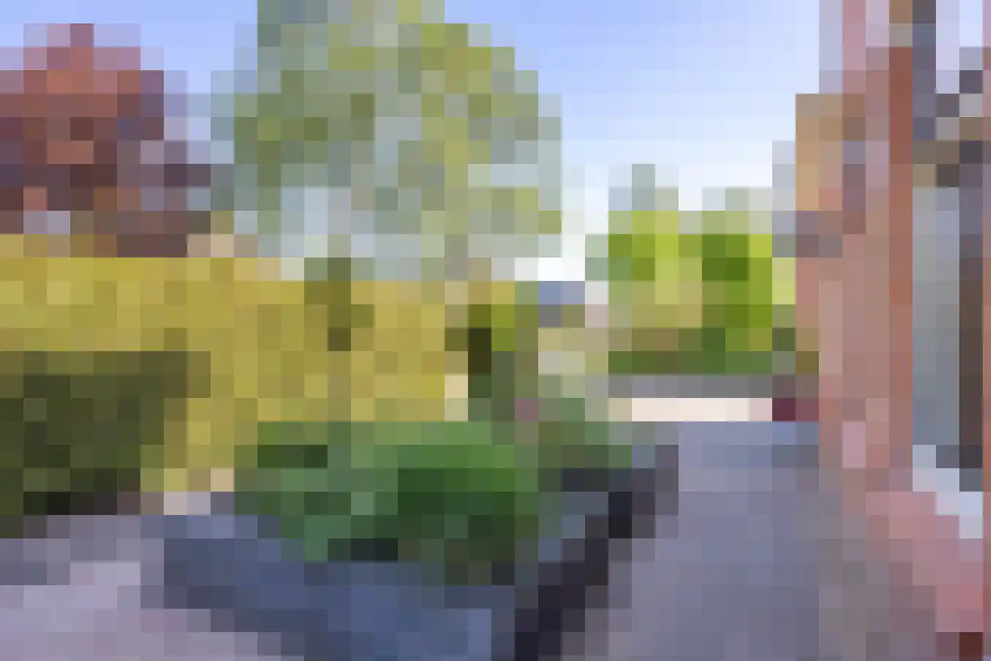 Hoofdstraat 266 Oostwold thumbnail 84