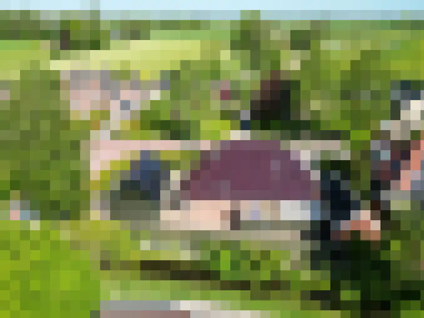 Hoofdstraat 266 Oostwold thumbnail 91