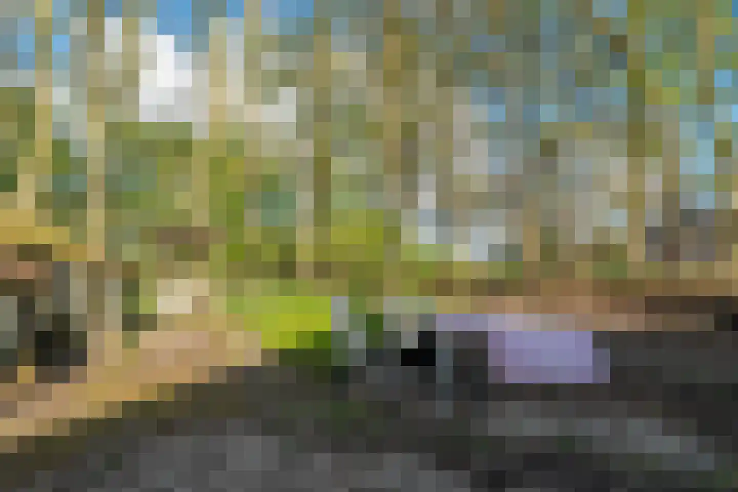 Hoofdstraat 267 Oostwold thumbnail 69