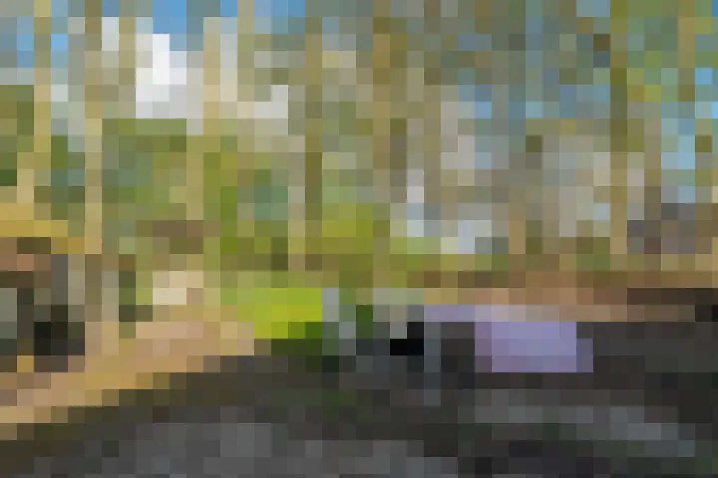 Hoofdstraat 267 Oostwold thumbnail 69