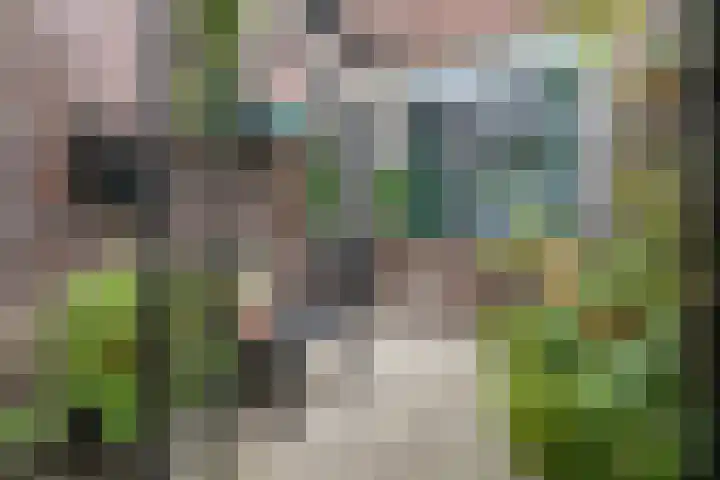 Hoofdstraat 27 De Lier thumbnail 17
