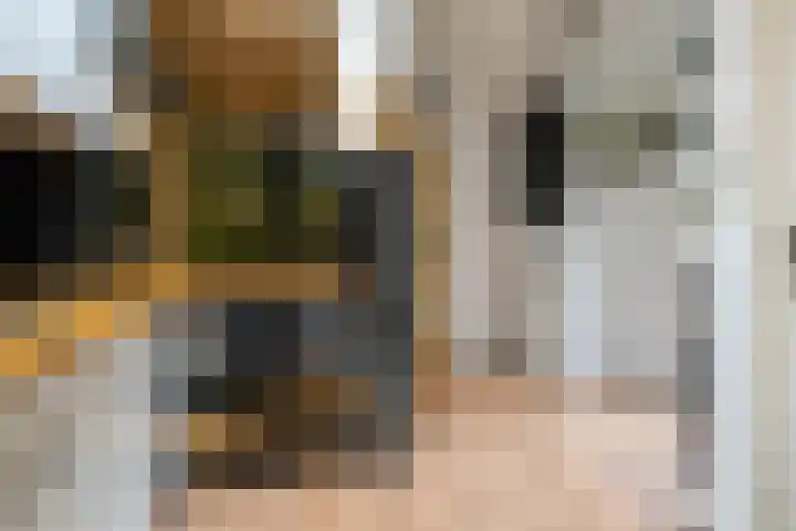 Hoofdstraat 27 De Lier thumbnail 9