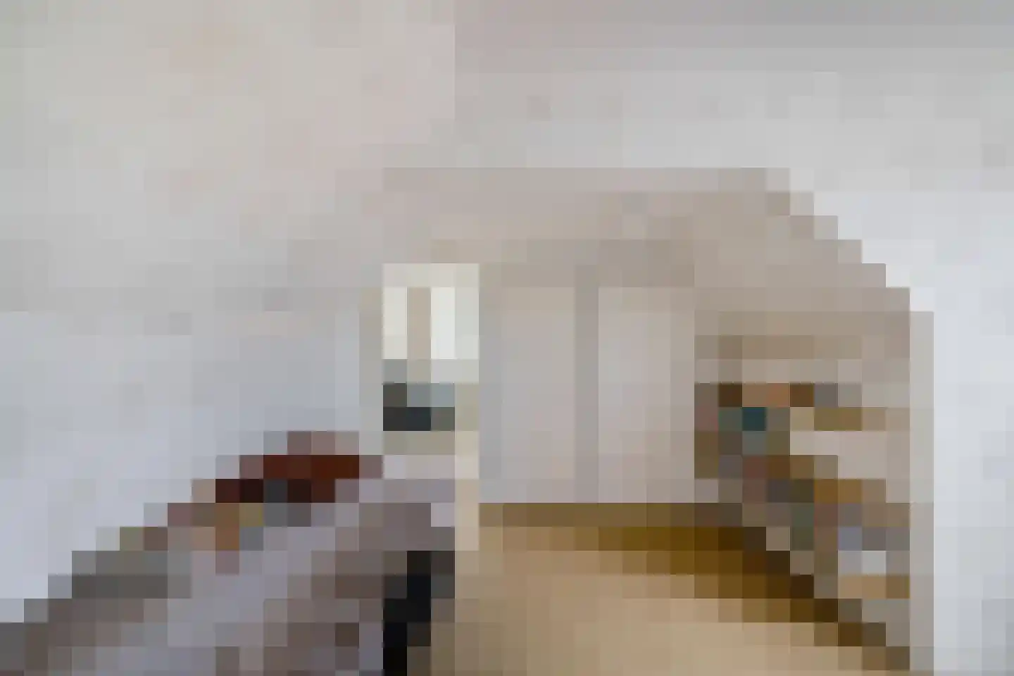 Hoofdstraat 27 Leens thumbnail 31
