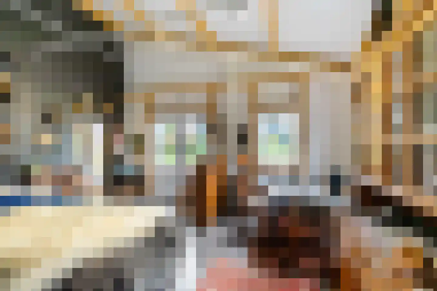 Hoofdstraat 27 Leens thumbnail 46