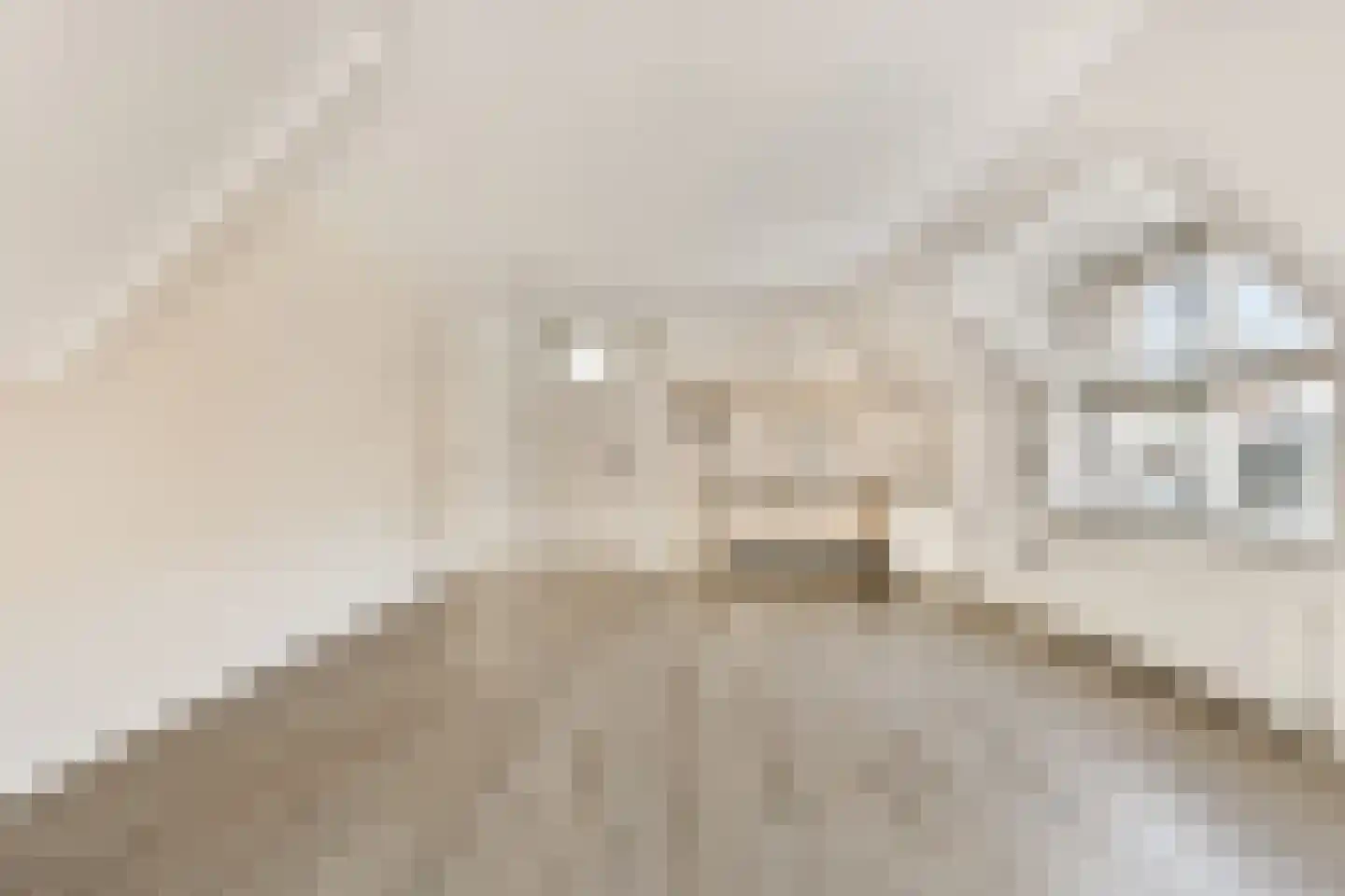 Hoofdstraat 270 b Sassenheim thumbnail 6