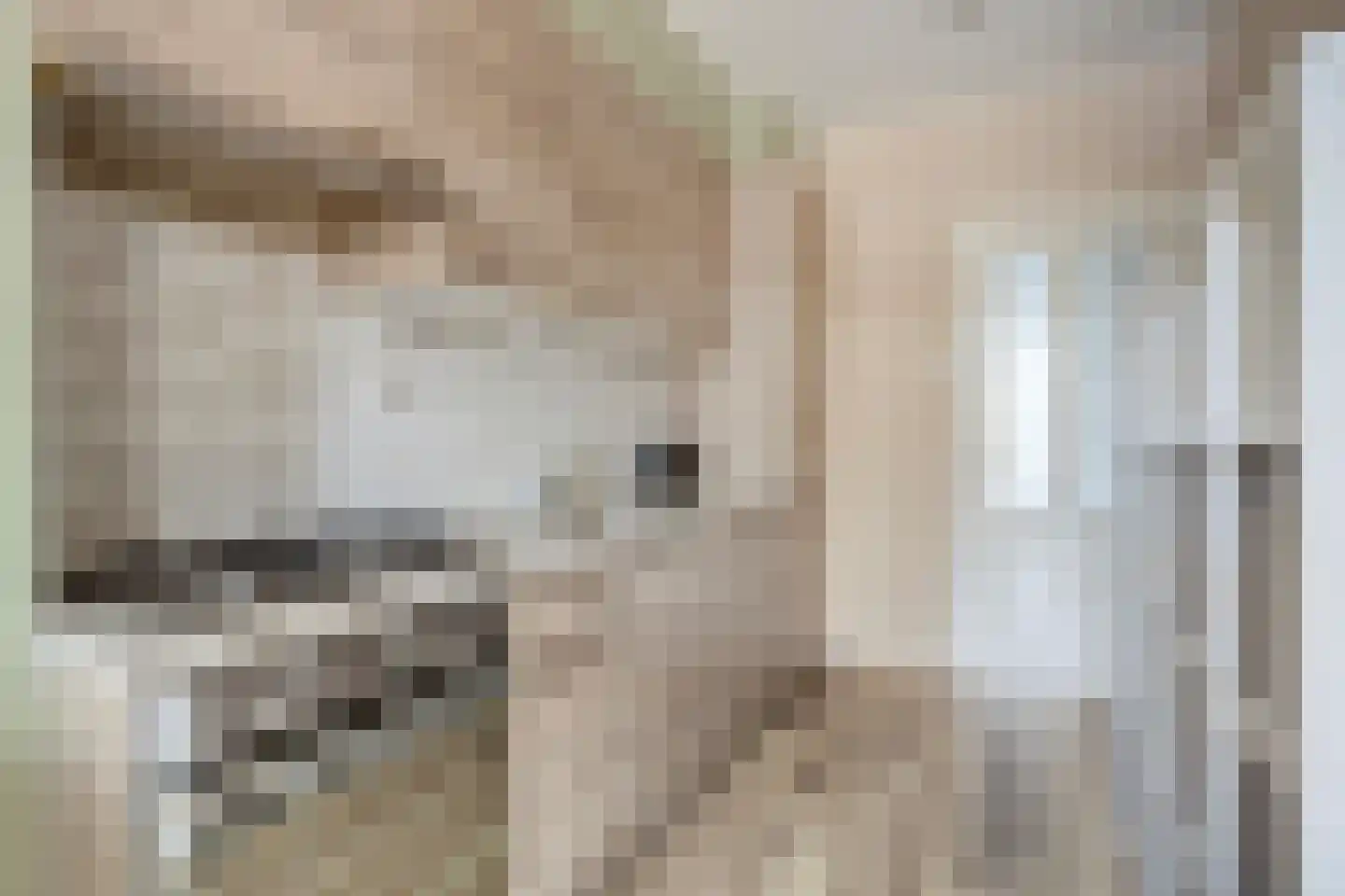 Hoofdstraat 28 Andelst thumbnail 10