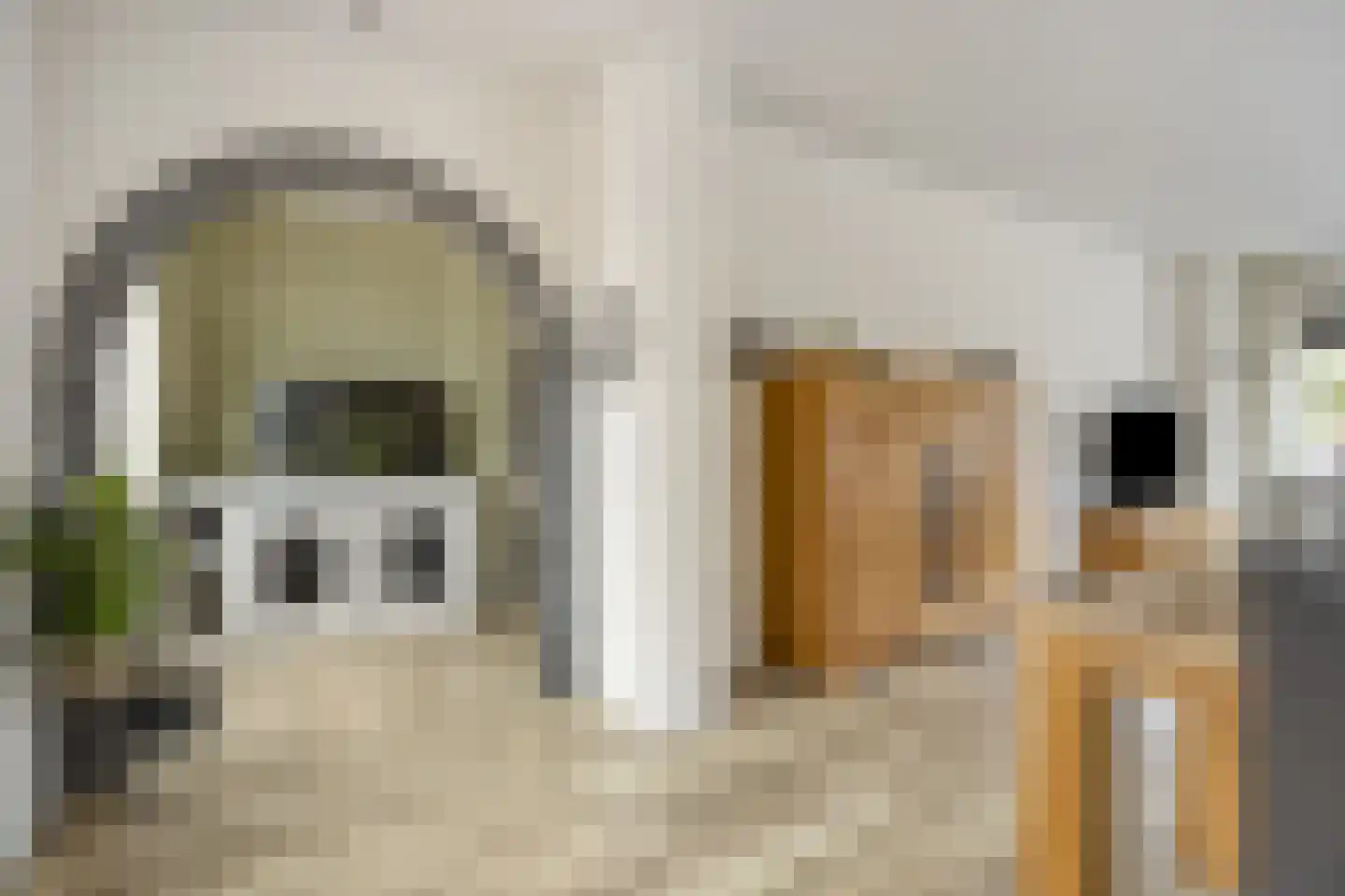 Hoofdstraat 28 Andelst thumbnail 8