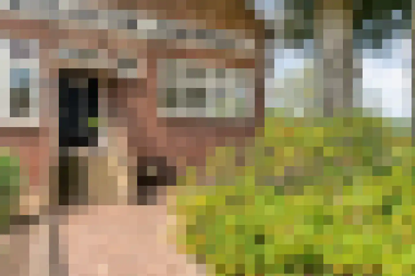 Hoofdstraat 28 Zuidwolde thumbnail 10