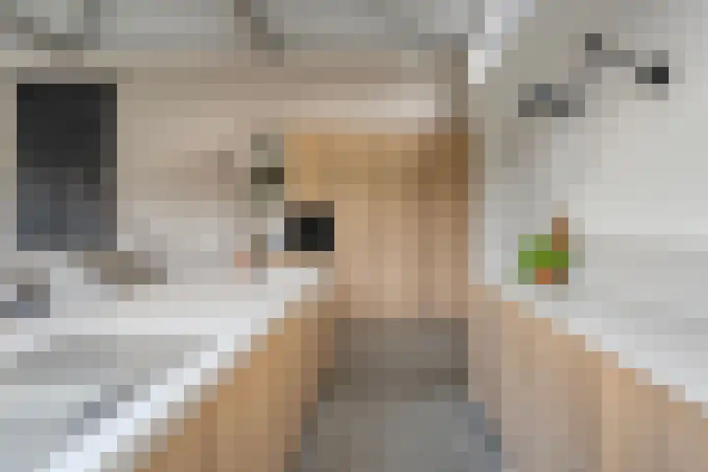 Hoofdstraat 28 Zuidwolde thumbnail 37