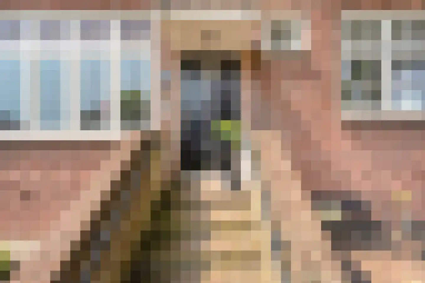 Hoofdstraat 28 Zuidwolde thumbnail 65