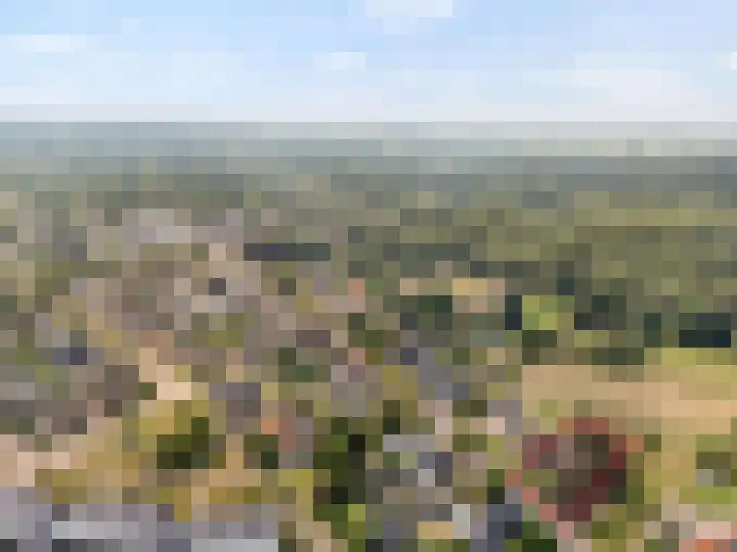 Hoofdstraat 28 Zuidwolde thumbnail 69