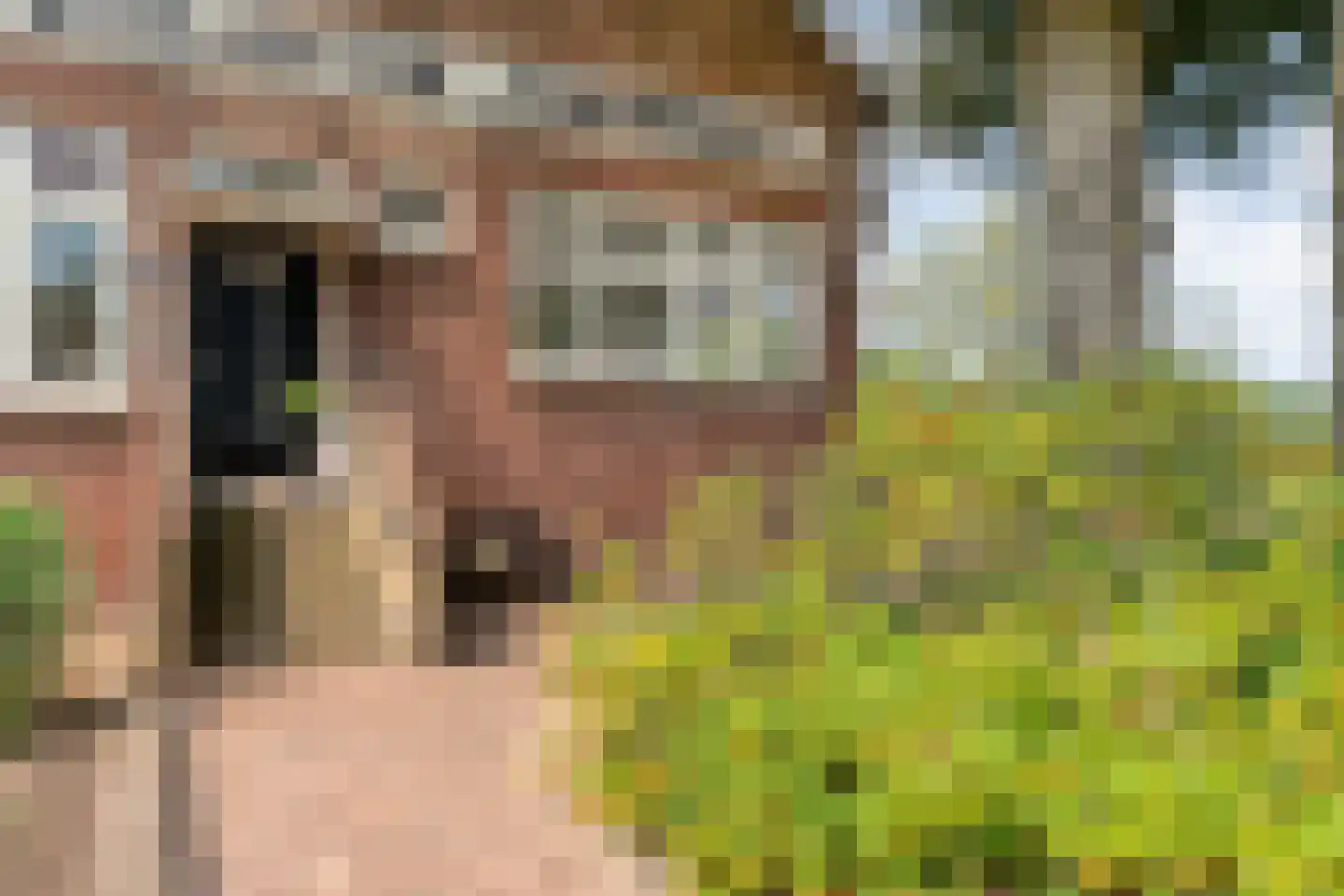Hoofdstraat 28 Zuidwolde thumbnail 9
