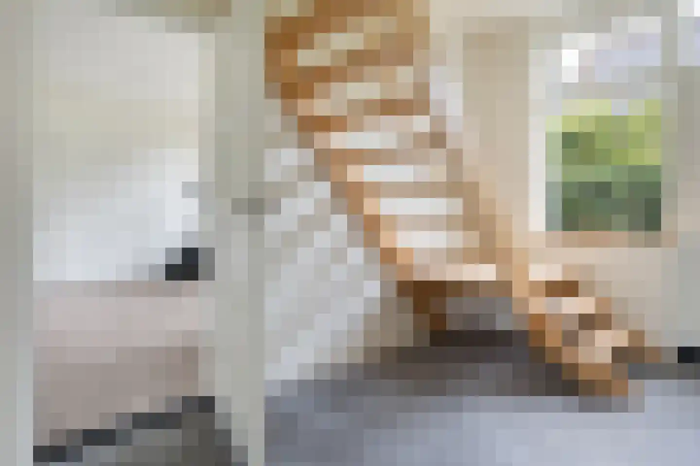 Hoofdstraat 28 Zwiggelte thumbnail 18