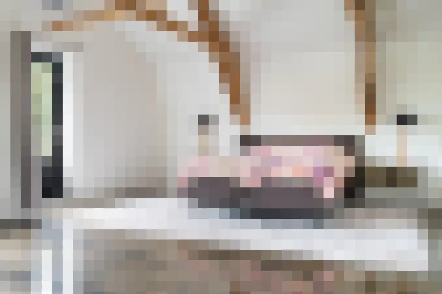Hoofdstraat 28 Zwiggelte thumbnail 24