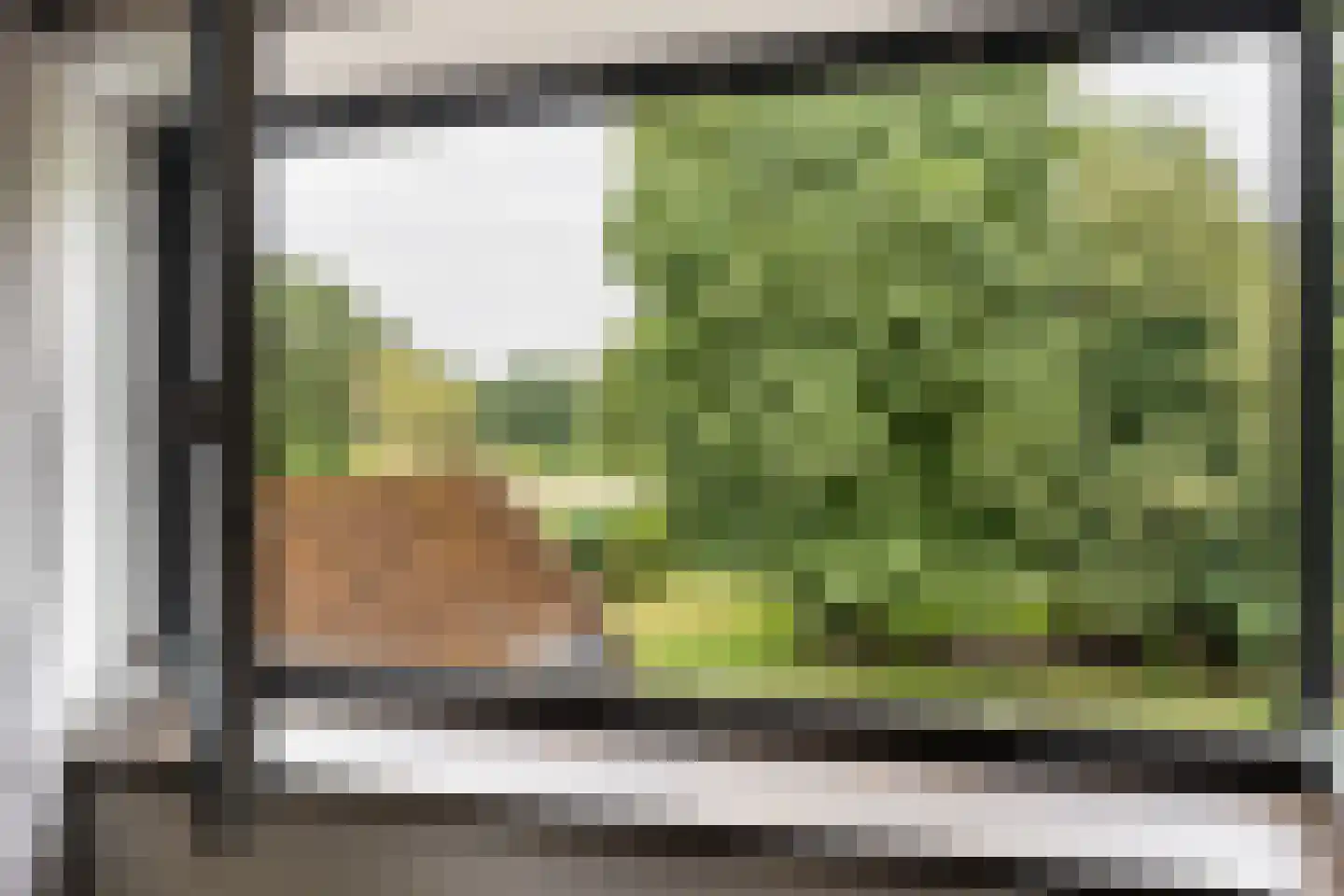 Hoofdstraat 28 Zwiggelte thumbnail 27