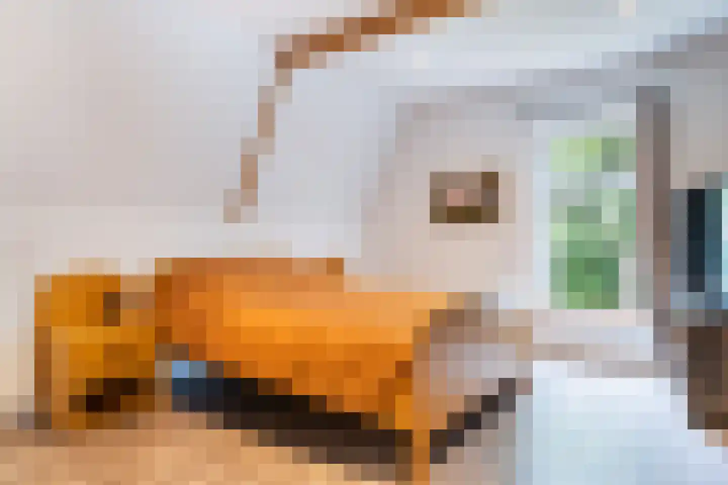Hoofdstraat 28 Zwiggelte thumbnail 29