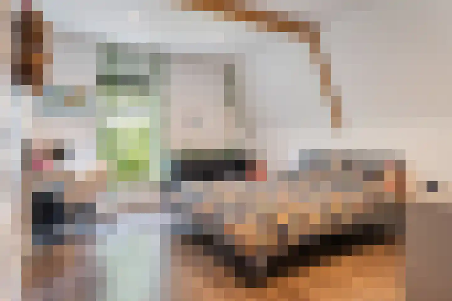 Hoofdstraat 28 Zwiggelte thumbnail 31