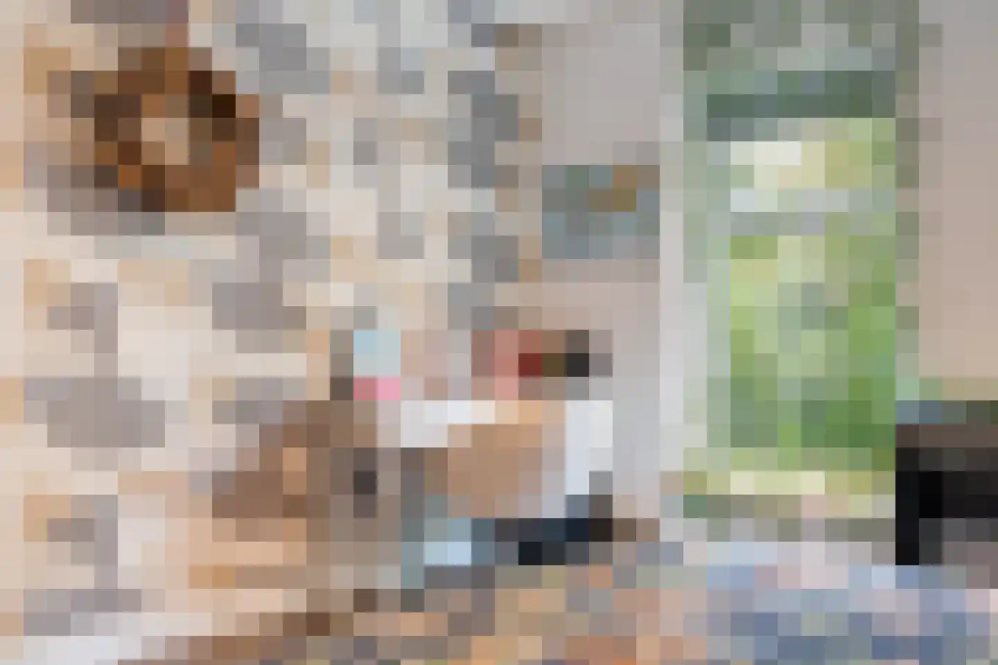 Hoofdstraat 28 Zwiggelte thumbnail 32