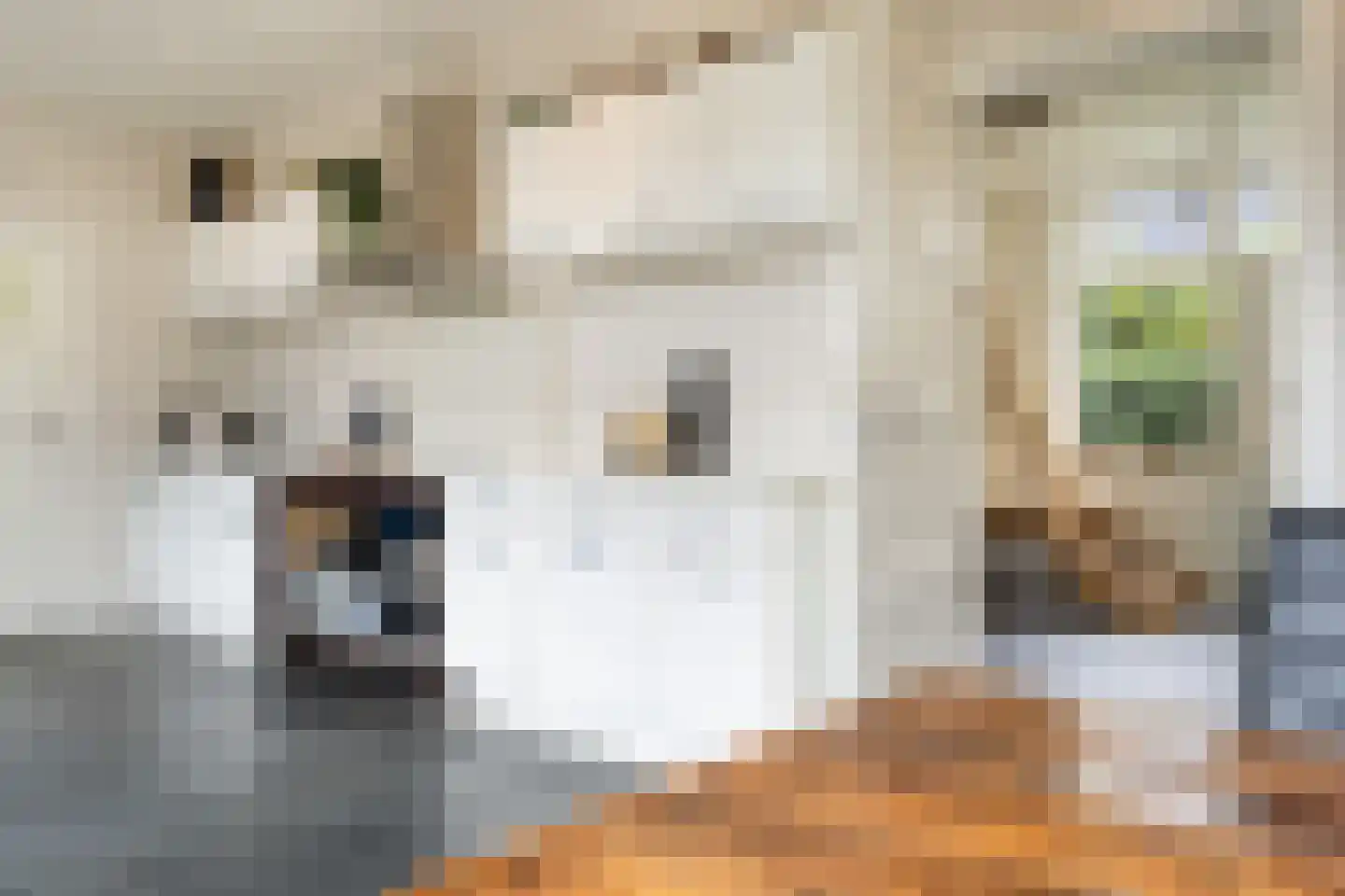 Hoofdstraat 28 Zwiggelte thumbnail 4