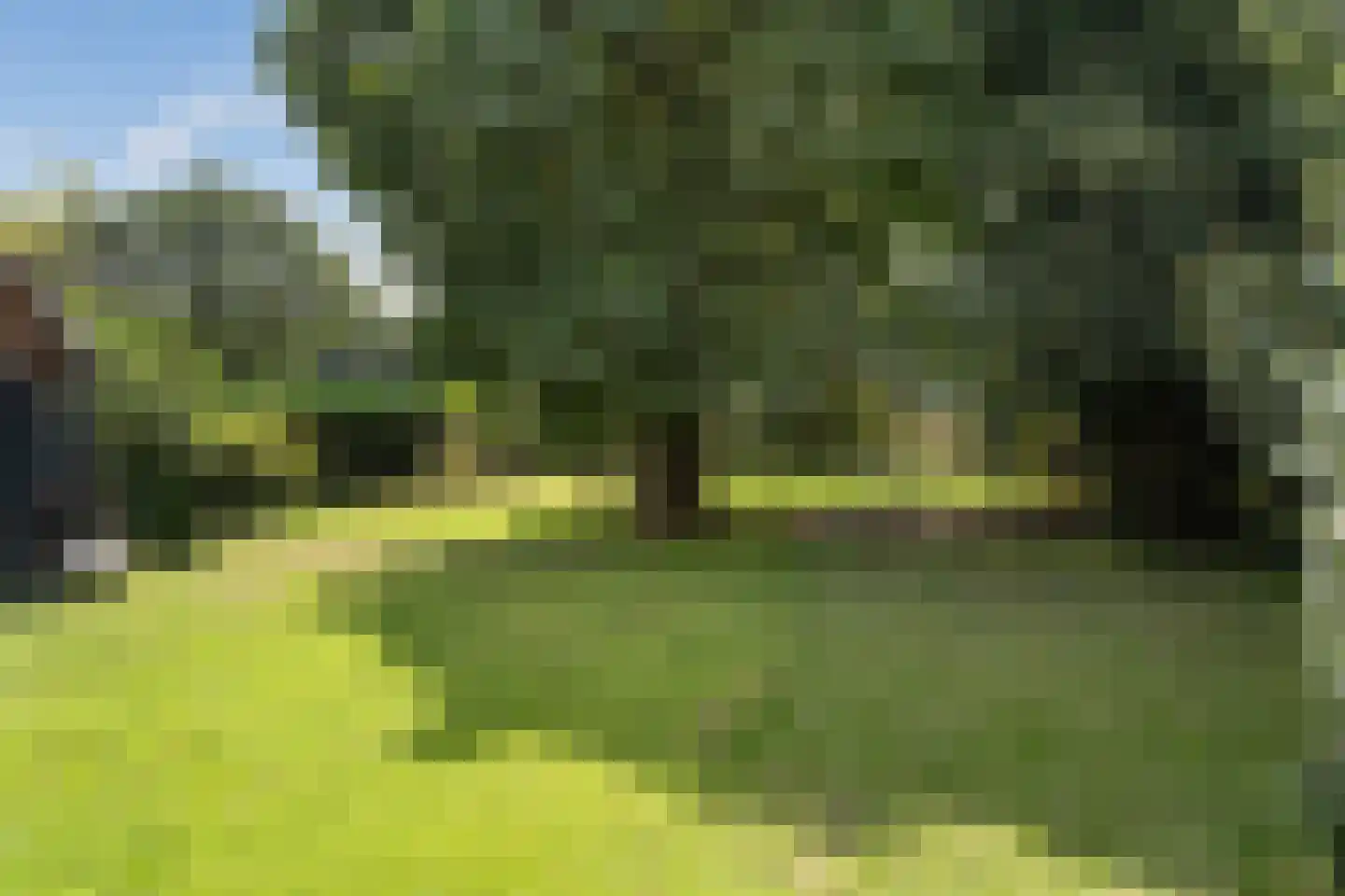 Hoofdstraat 28 Zwiggelte thumbnail 42